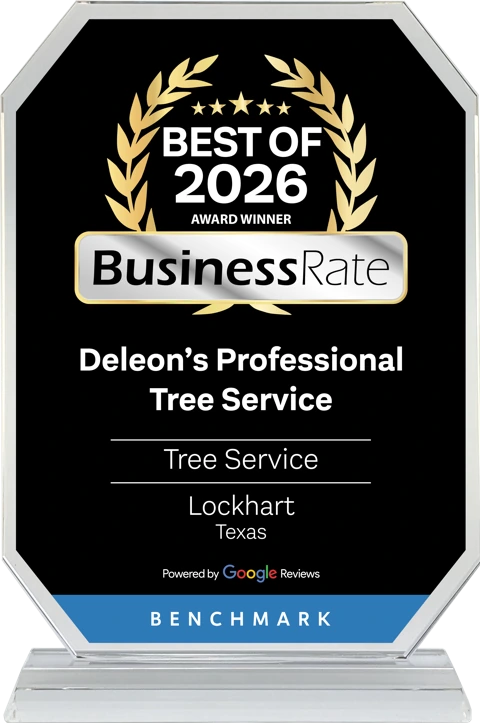 BusinessRate Best of 2026 Award Winner — Deleon’s Professional Tree Service — Tree Service, Lockhart, Texas