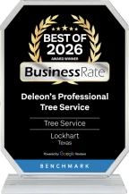 BusinessRate Best of 2026 Award