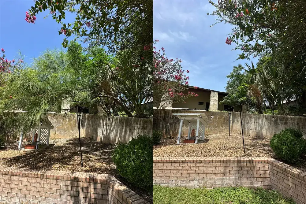 Before and after property cleanup